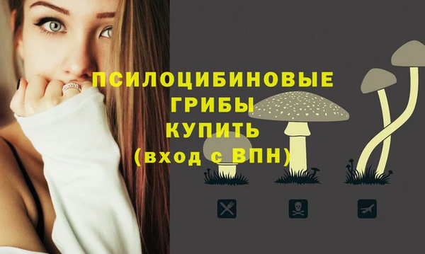 стафф Алексеевка