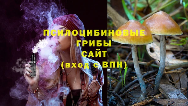 стафф Алексеевка
